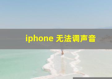 iphone 无法调声音